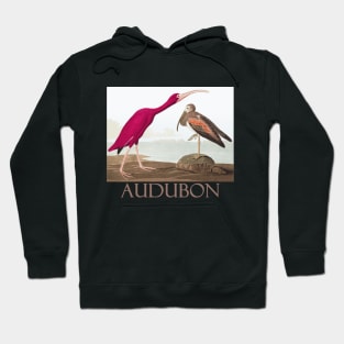 Scarlet Ibis by John James Audubon Hoodie